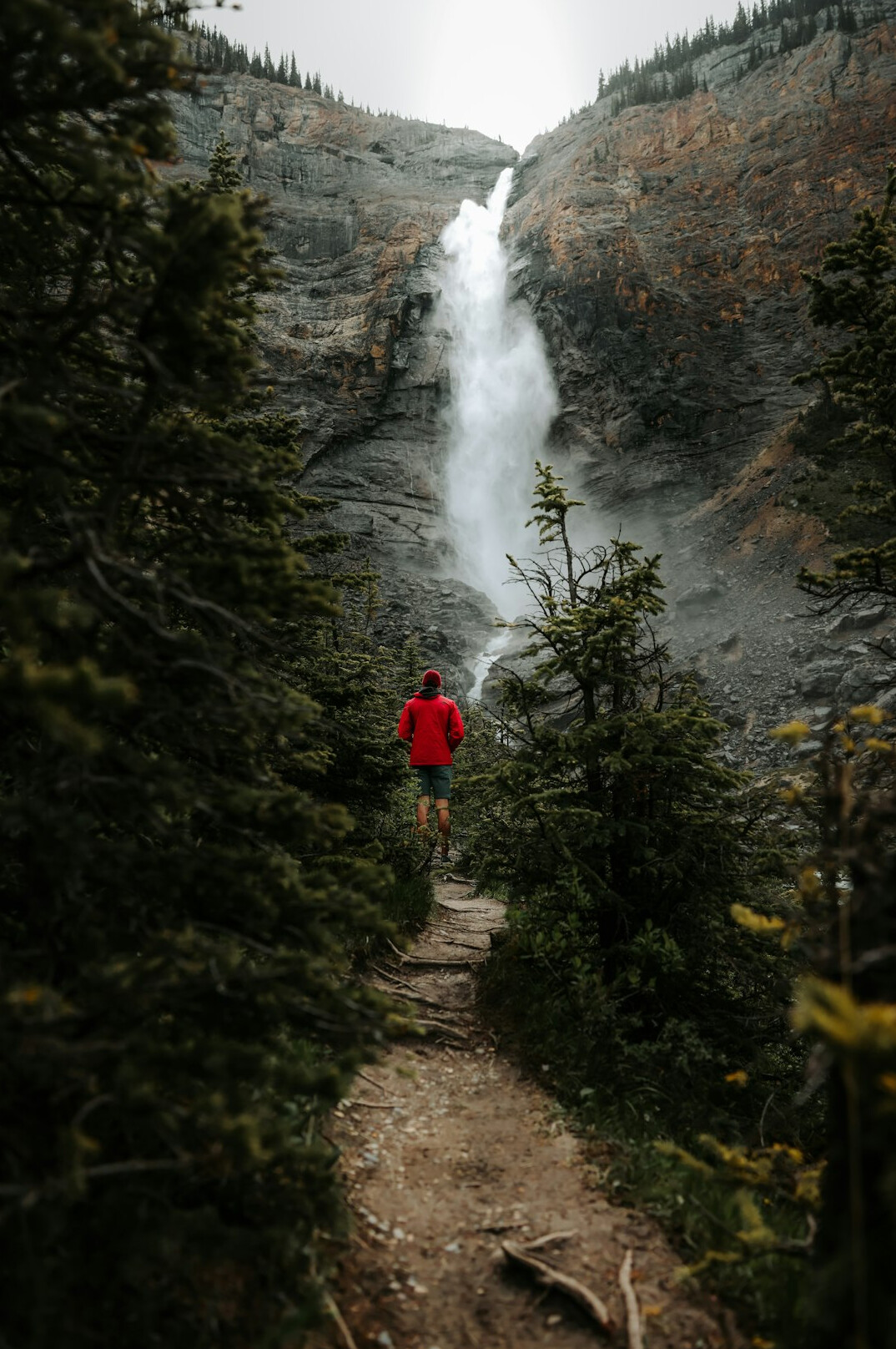person hiking mountain trail